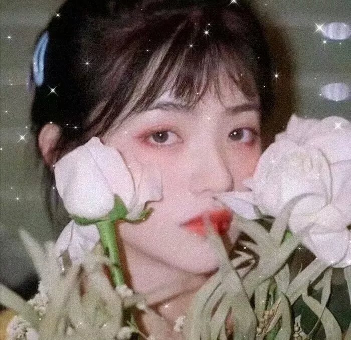 北非特警